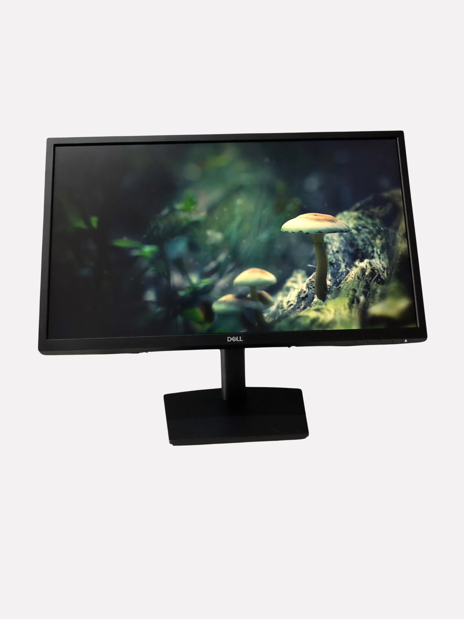 Dell E2422HS 24” Monitor (Refurbished) - Image 2